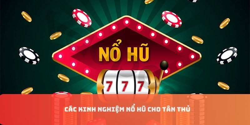 Sơ bộ các kinh nghiệm cho người chơi cá cược